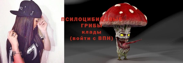 кокс Арсеньев