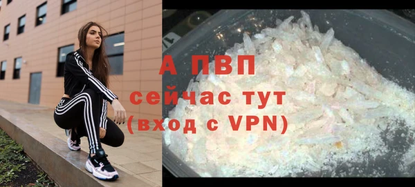 кокс Арсеньев