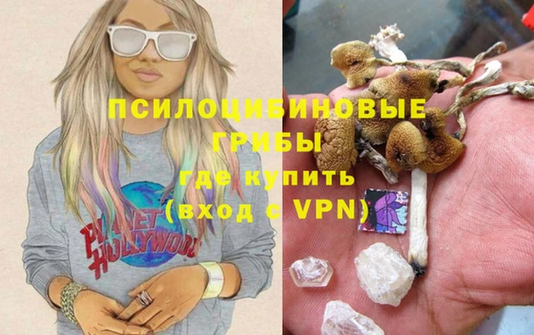 кокс Арсеньев