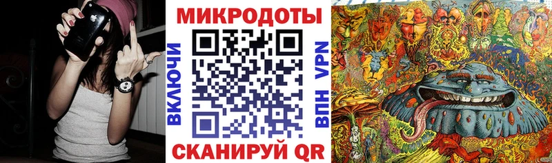 где продают   Муром  Галлюциногенные грибы мухоморы 